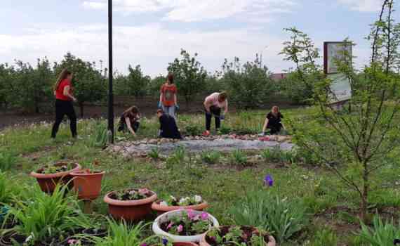 программа_Ландшафтный дизайн