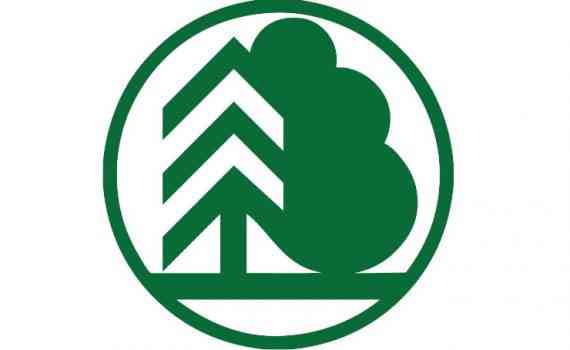 шк-лесничества