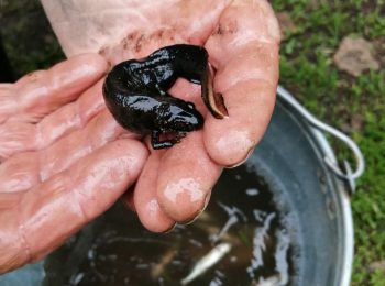 14-15 лет, 1 место, Бурашников Владимир,Попался на крючок (рук. В. С. Федулеева)