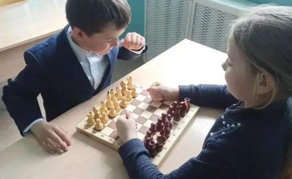 шахматы